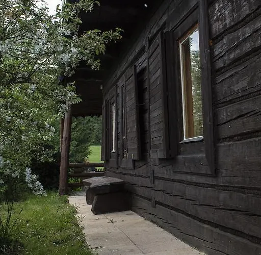 I Austryjok * פורונין